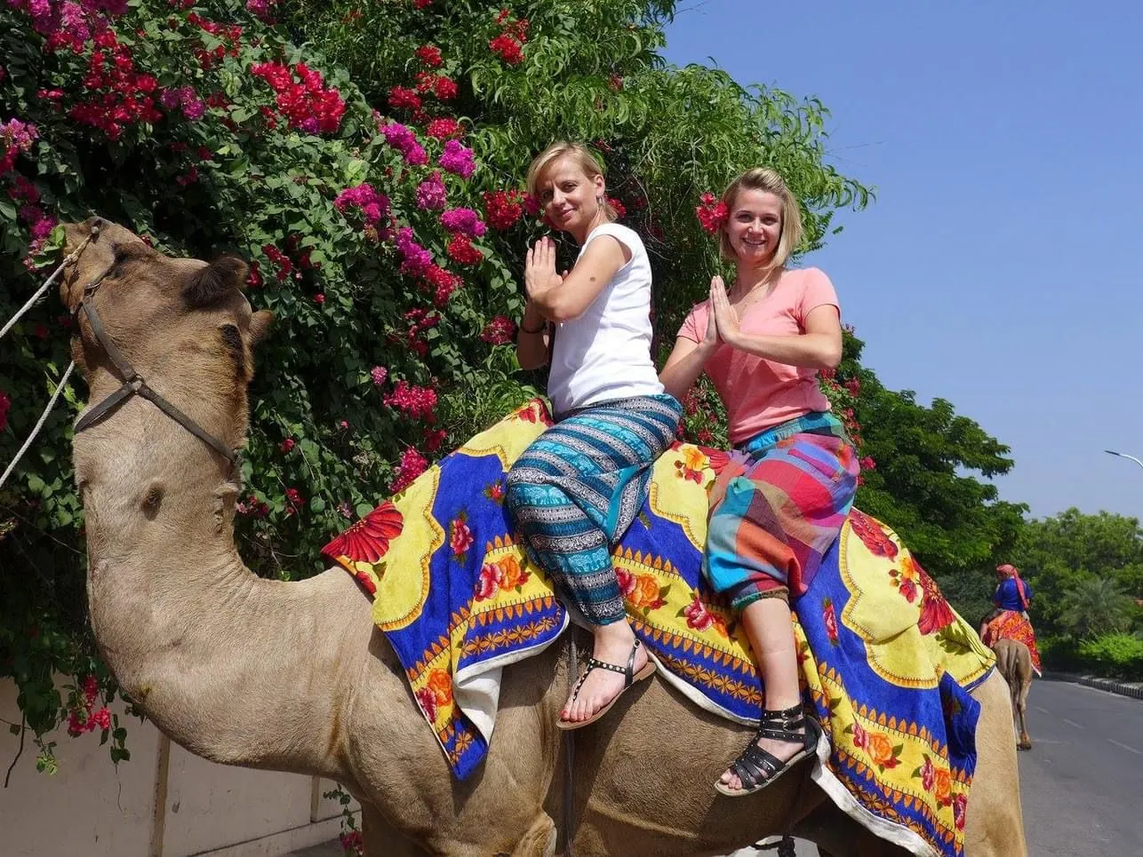 Tempo Traveller Gallery